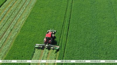 Rolnicy z obwodu grodzieńskiego rozpoczęli pierwsze koszenie trawy 