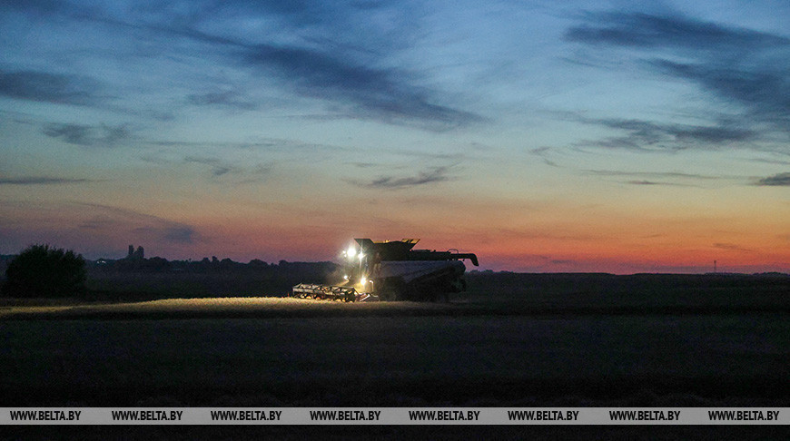 Nocne żniwa w powiecie brzeskim 
