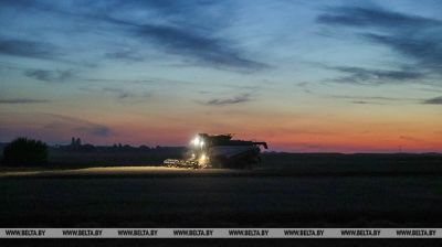 Nocne żniwa w powiecie brzeskim 