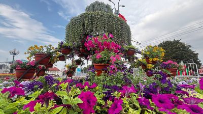 Fontanna z kwiatów pojawiła się w Grodnie z okazji Dnia Miasta 