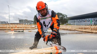 Na wystawie „Lesdrewtech” odbyły się zawody drwali 