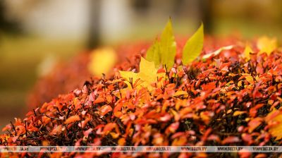 Jesienny deszczowy dzień 