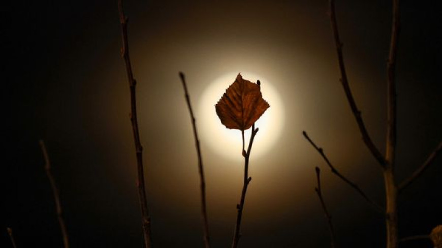 „Bobrowy księżyc” nad Białorusią 