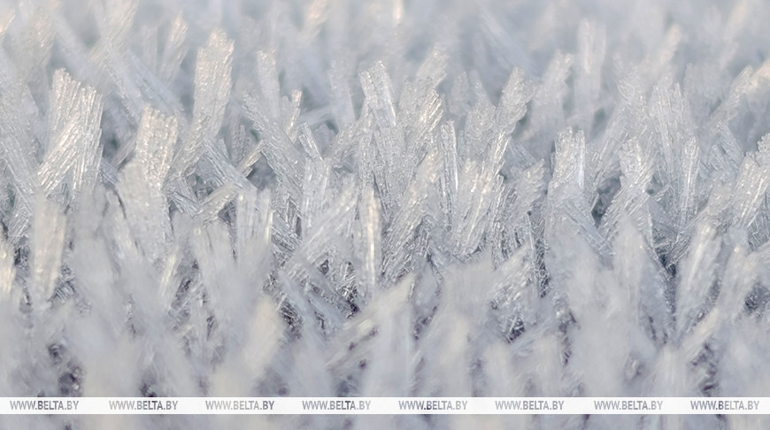 Pierwsze oznaki zimy 