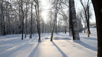 Mroźny zimowy dzień w Homlu w obiektywie fotografa BELTA