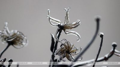 Szklany deszcz w Grodnie 