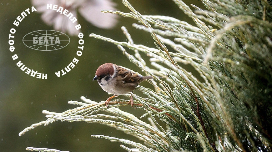  Najlepsze zdjęcia tygodnia  