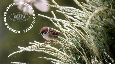  Najlepsze zdjęcia tygodnia  