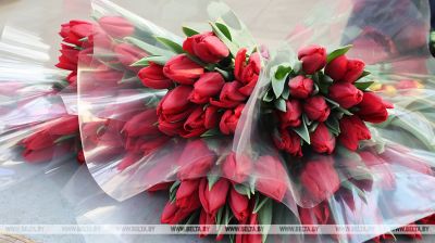 Minski zakład szklarniowy wyhoduje do 8 marca ponad 200 tysięcy tulipanów i około 60 tysięcy róż 