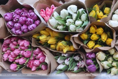 Wszystkie dzielnice Grodna wypełniły się kwiatowymi targami 