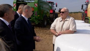 „Rolnicy radzą sobie dobrze w tym roku”. Łukaszenka pochwalił pracę rolników podczas żniw
