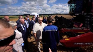 Łukaszenka o kampanii żniwnej: trzeba przyspieszyć, bez względu na wszystko